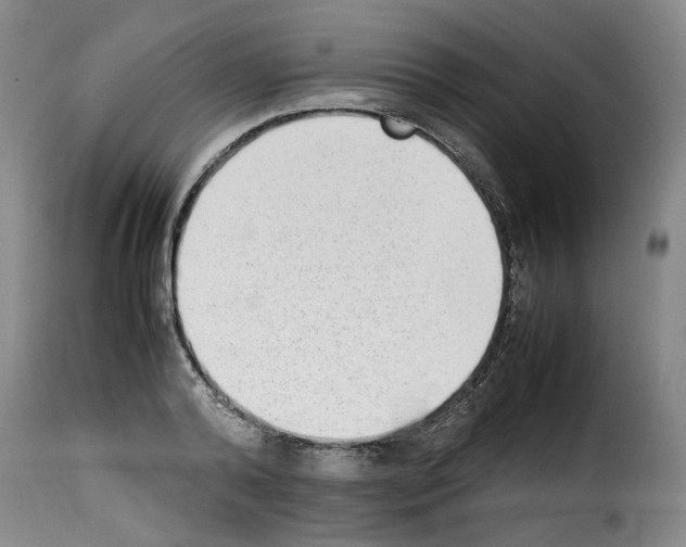 X0000114220792200911201044