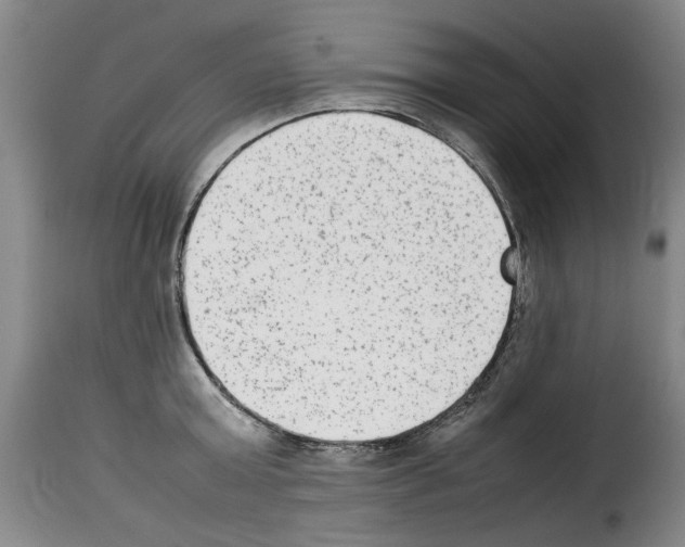 X0000114220803200911201044