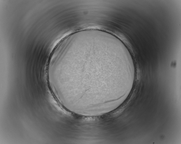 X0000114220806200911201044