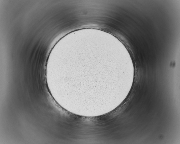 X0000114220808200911201044