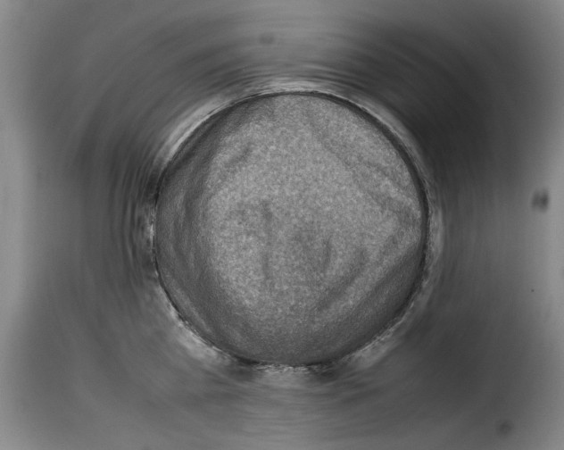 X0000114220809200911201044