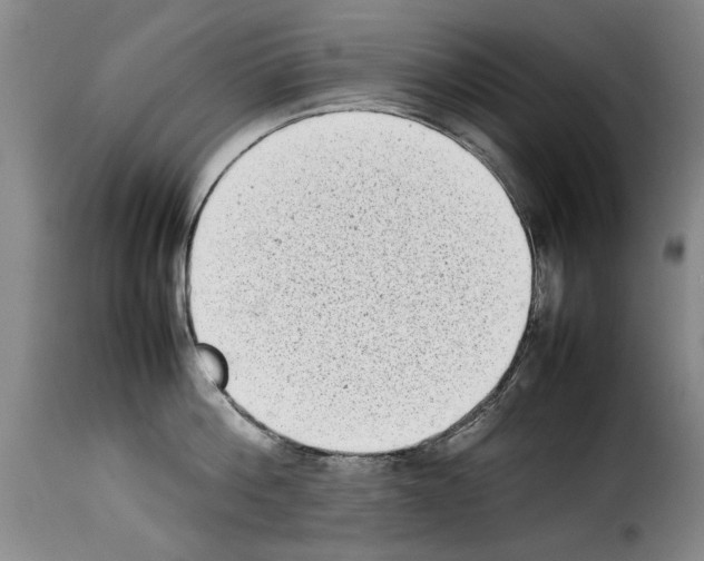 X0000114220812200911201044