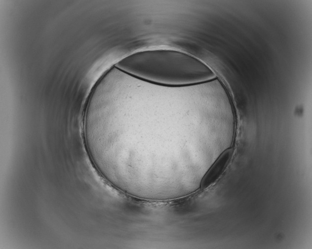 X0000114220813200911201044