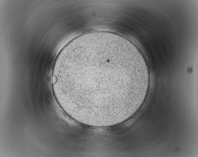 X0000114220814200911201044
