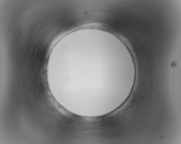 X0000114220816200911201044