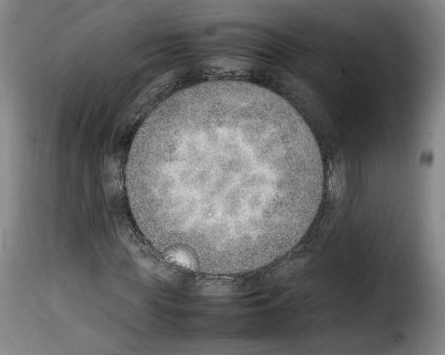 X0000114220819200911201044