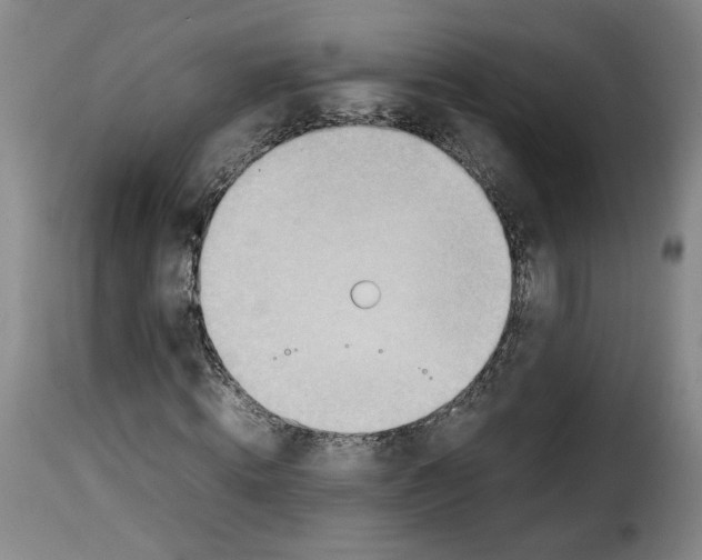 X0000114220820200911201044