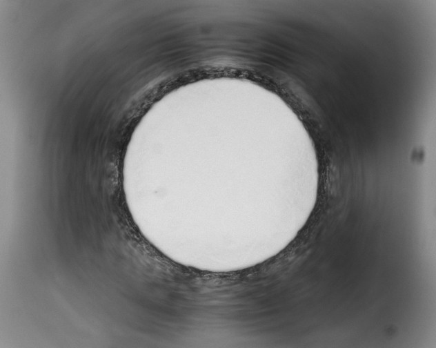 X0000114220821200911201044