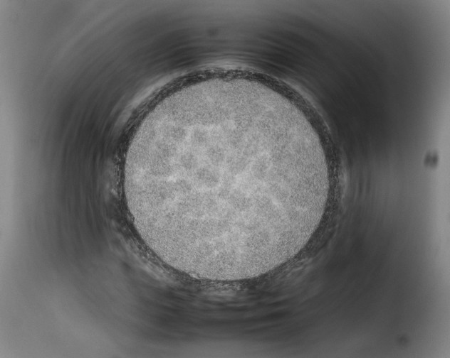 X0000114220823200911201044