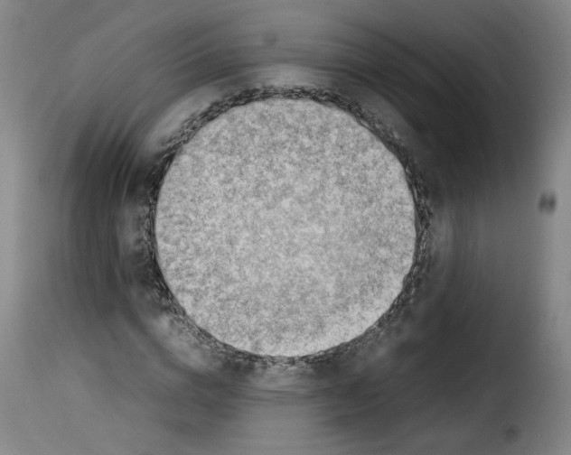 X0000114220824200911201044