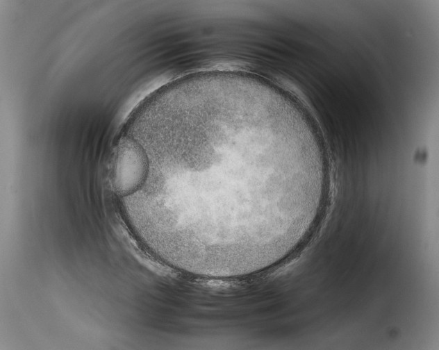 X0000114220827200911201044