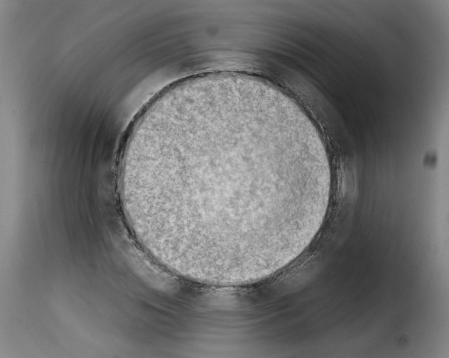 X0000114220828200911201044
