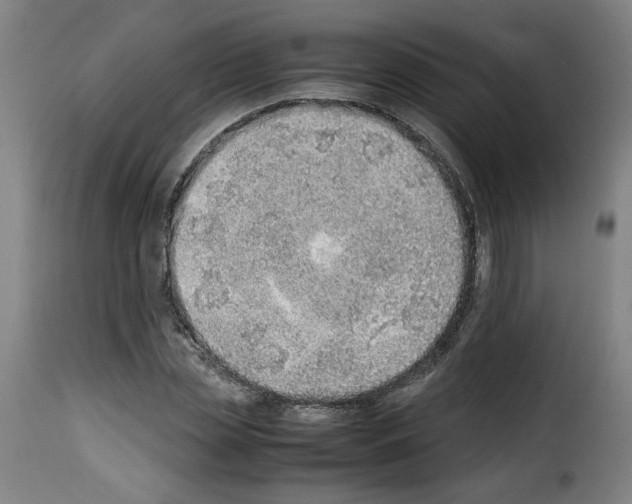 X0000114220829200911201044