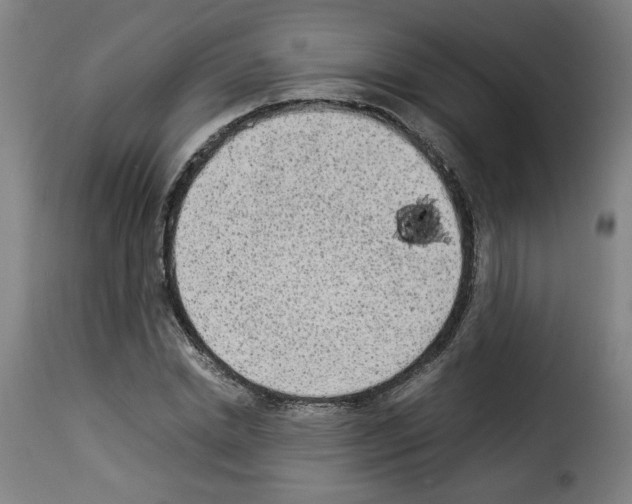 X0000114220830200911201044