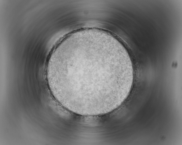 X0000114220832200911201044