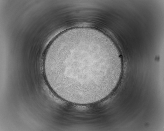 X0000114220835200911201044