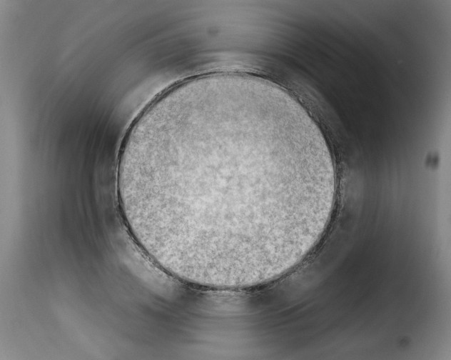 X0000114220836200911201044