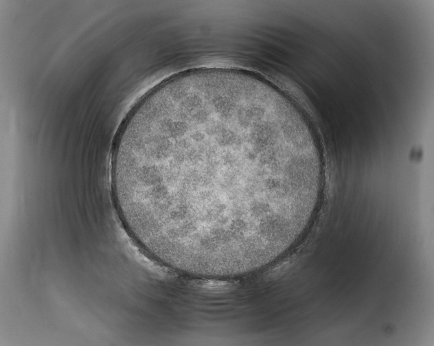 X0000114220839200911201044