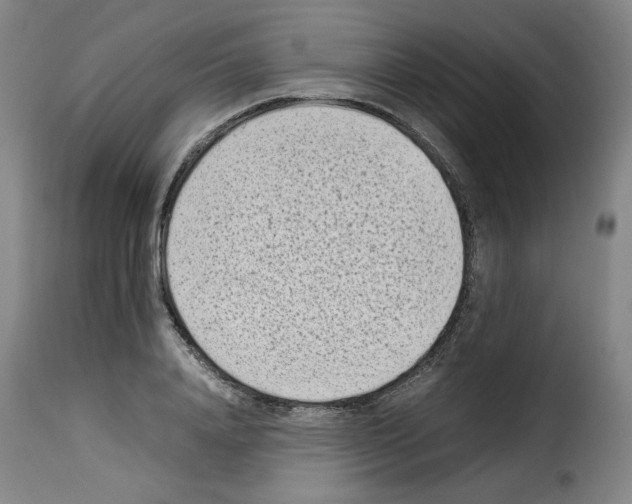X0000114220840200911201044