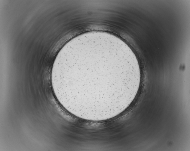X0000114220841200911201044