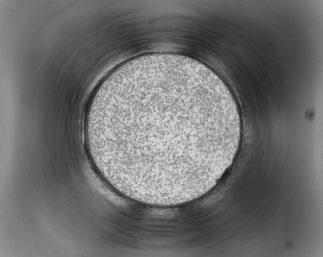 X0000114220843200911201044