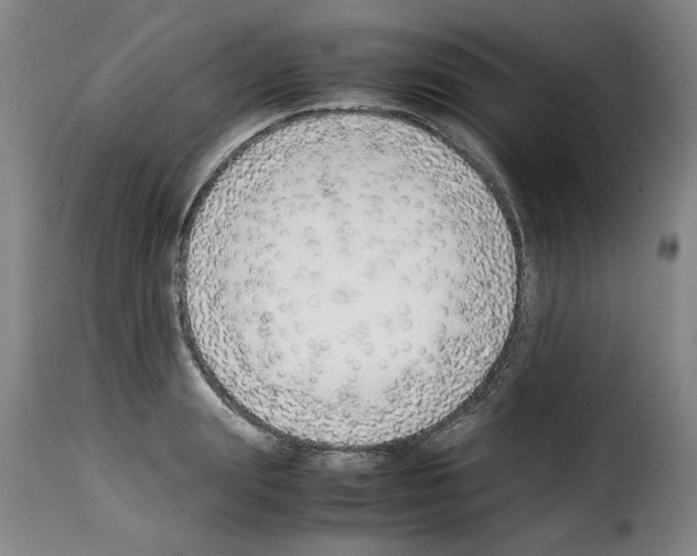 X0000114220847200911201044