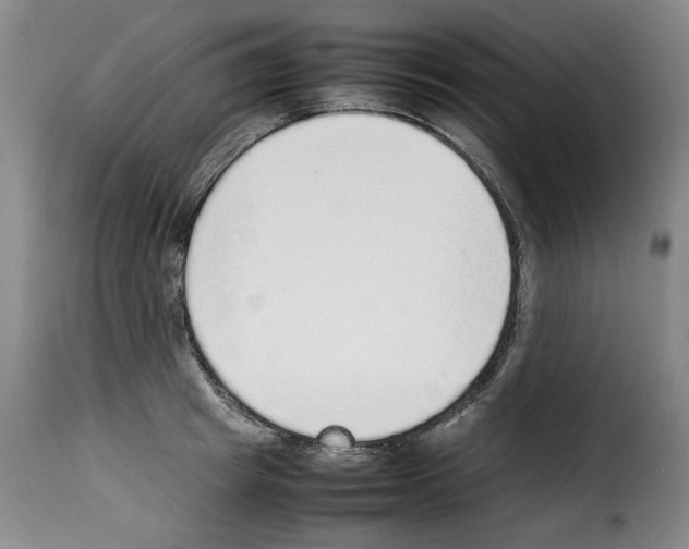 X0000114220849200911201044