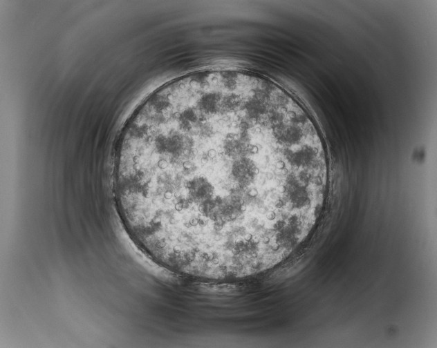 X0000114220851200911201044