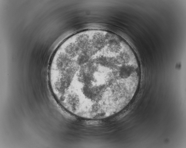 X0000114220853200911201044