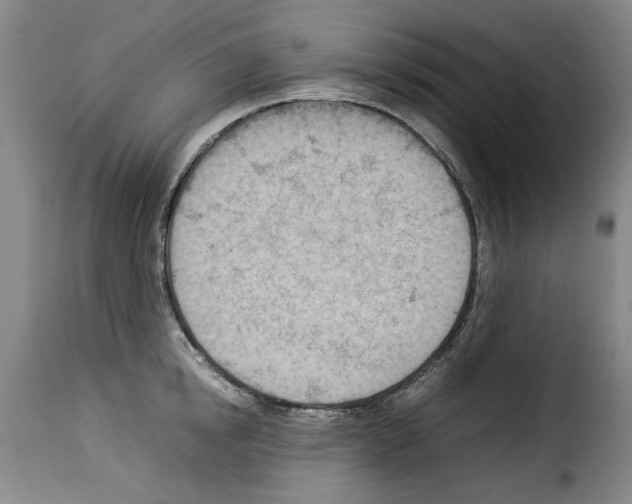 X0000114220854200911201044
