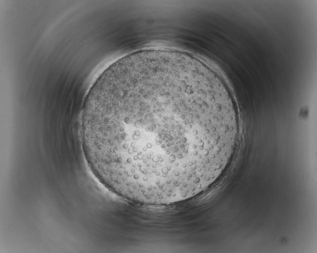 X0000114220855200911201044