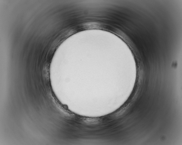 X0000114220857200911201044