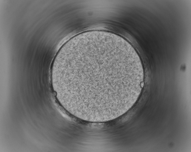 X0000114220858200911201044