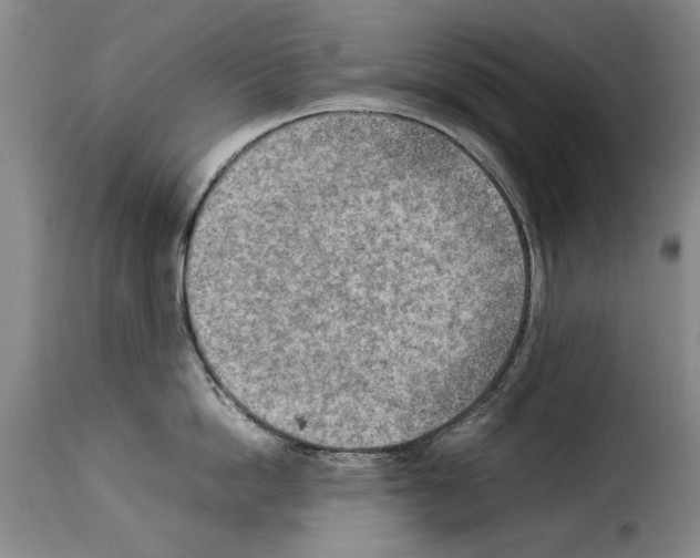 X0000114220862200911201044