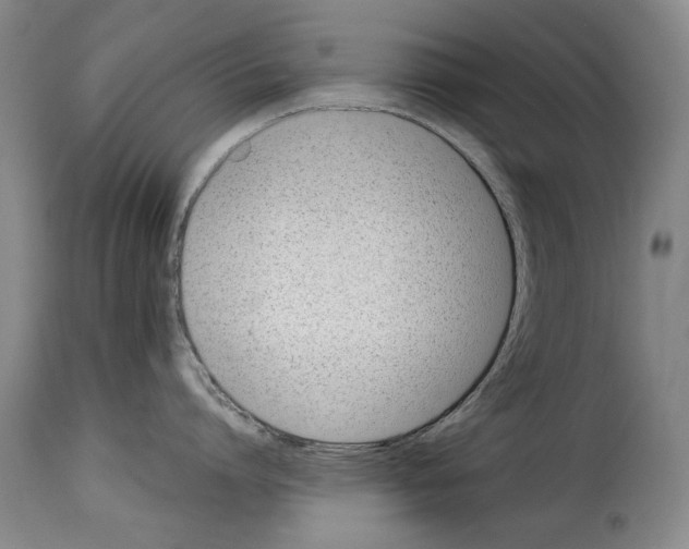 X0000114220864200911201044