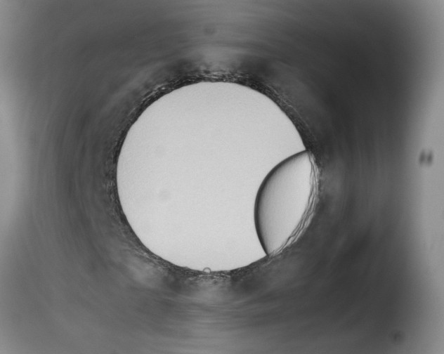 X0000114220865200911201043