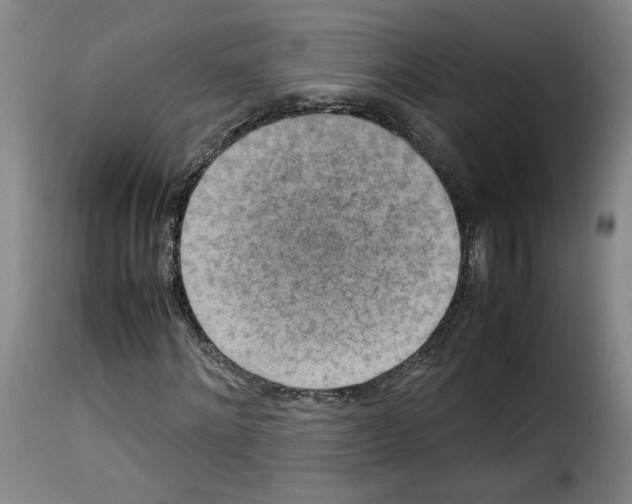 X0000114220868200911201043