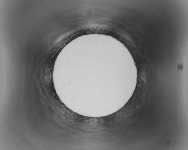 X0000114220869200911201043