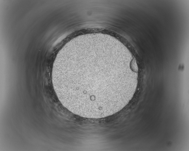 X0000114220871200911201043