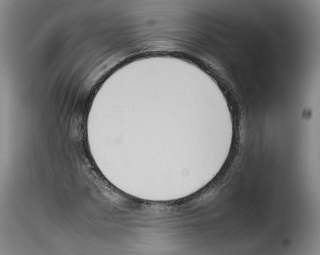 X0000114220873200911201043