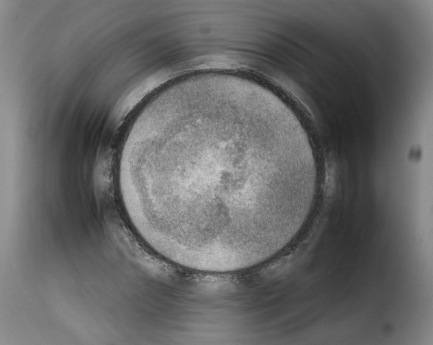 X0000114220874200911201043