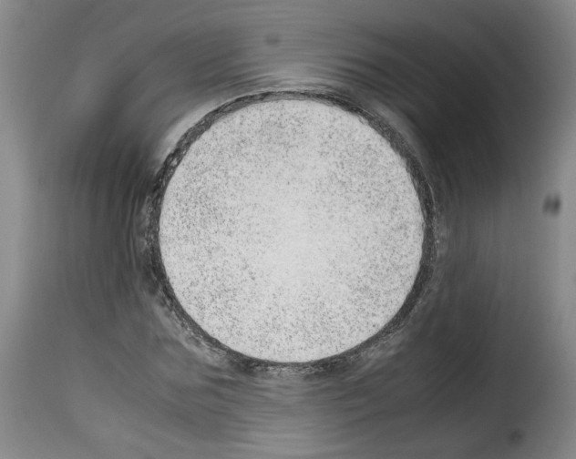 X0000114220875200911201043