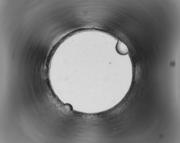 X0000114220876200911201043