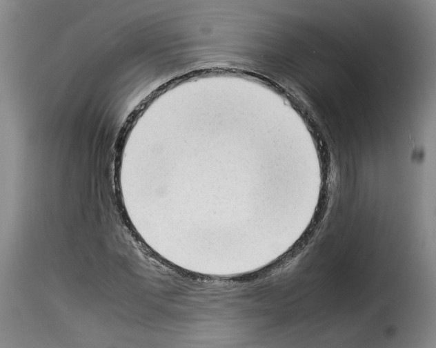 X0000114220877200911201043