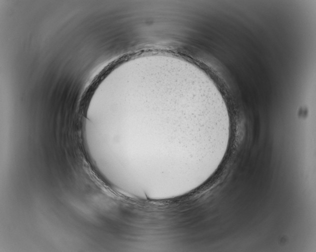X0000114220878200911201043