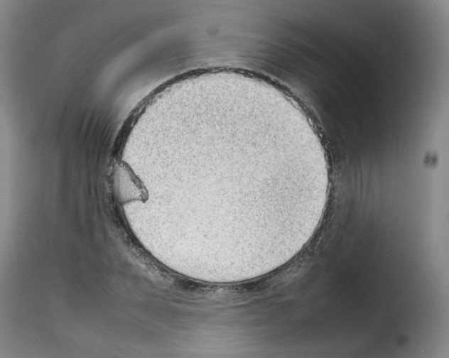 X0000114220879200911201043