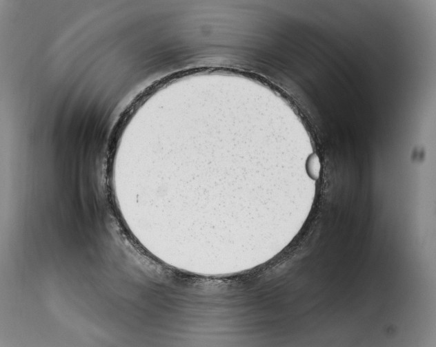 X0000114220880200911201043