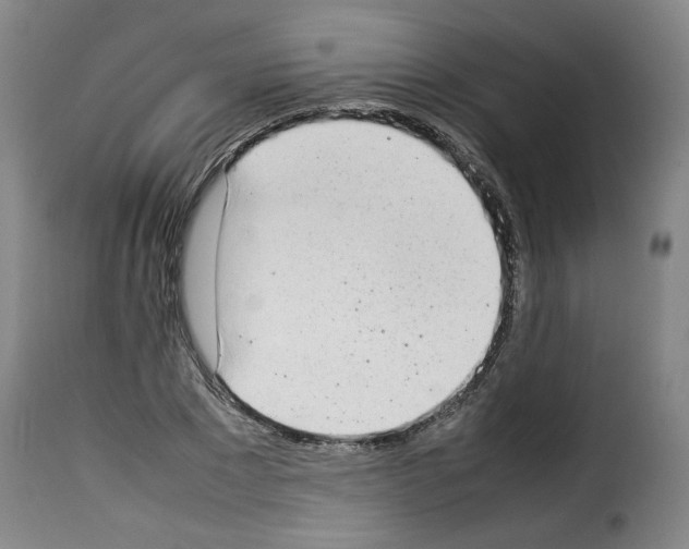 X0000114220881200911201043