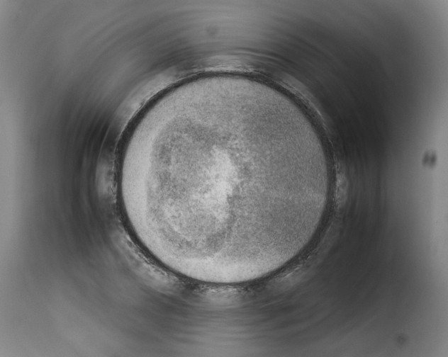 X0000114220882200911201043