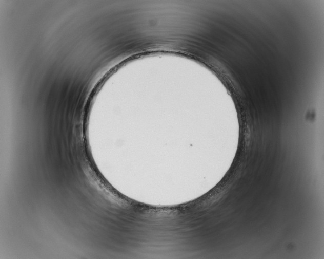 X0000114220884200911201043